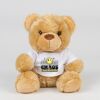 Bear in a t-shirt Thumbnail