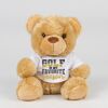 Bear in a t-shirt Thumbnail